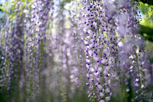 648019 (a): :1800x1200